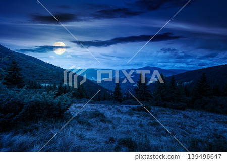 hillside of mountain range with coniferous forest and grassy meadow at night. full moon over beautiful summer landscape with alp. mysterious nature background of highland for earth day hillside of mountain range with coniferous forest and grassy meadow at night. full moon over beautiful summer landscape with alp. mysterious nature background of highland for earth day 139496647