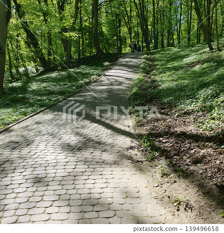Sunlit Cobblestone Path Through Lush Green Forest Park in Spring Sunlit Cobblestone Path Through Lush Green Forest Park in Spring 139496658