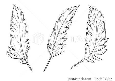 Set, clip art of beautiful feathers ink graphic. Vector graphic illustration. Feather outline isolated on white.For the design of postcards, posters, stickers, prints, wrapping paper 139497086