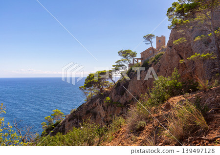Rocky Mediterranean coastline near Tossa de Mar with pine trees in Catalonia 139497128