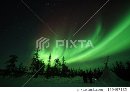 Forest and Dancing Aurora Forest and Dancing Aurora 139497185