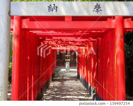 A Stroll Through Kuwana Castle Ruins in Summer A Stroll Through Kuwana Castle Ruins in Summer 139497254