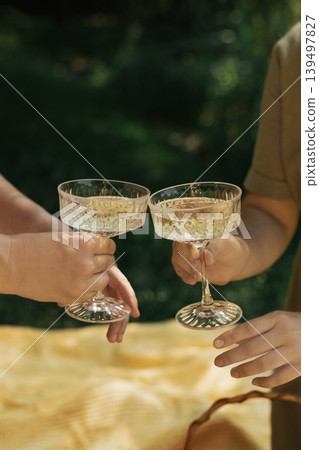 Elegant toast with sparkling wine in vintage coupes at an outdoor summer picnic Elegant toast with sparkling wine in vintage coupes at an outdoor summer picnic 139497827