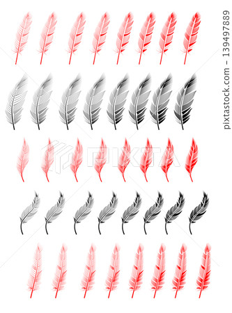 Collection of feather illustration, drawing, engraving Collection of feather illustration, drawing, engraving 139497889