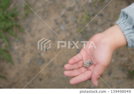 Discovery of obsidian Discovery of obsidian 139498049