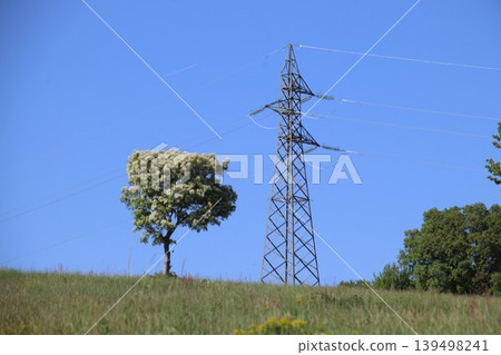 High voltage power line tower standing next to a blooming tree in a green field under a blue sky High voltage power line tower standing next to a blooming tree in a green field under a blue sky 139498241