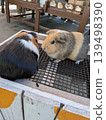 一個動物園 139498390