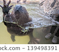 一個動物園 139498391