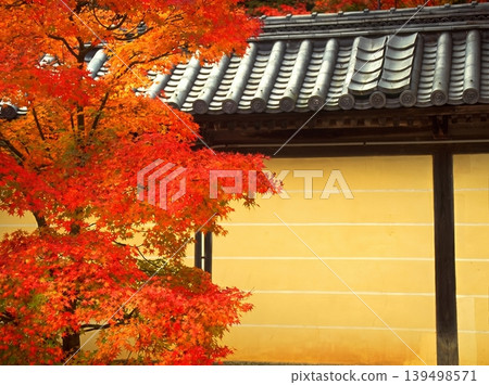 A peaceful collection of Japanese autumn landscapes featuring colorful maple trees, traditional temples, bamboo forests, and serene garden paths. A peaceful collection of Japanese autumn landscapes featuring colorful maple trees, traditional temples, bamboo forests, and serene garden paths. 139498571