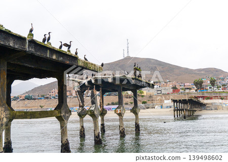 A Chancay pier with a bunch of birds on it A Chancay pier with a bunch of birds on it 139498602