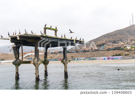 A Chancay pier with a bunch of birds on it A Chancay pier with a bunch of birds on it 139498603