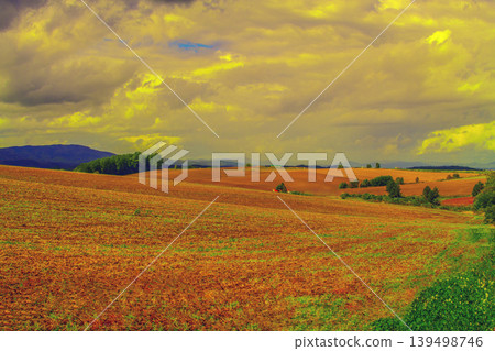 Vast Tahara landscape Vast Tahara landscape 139498746
