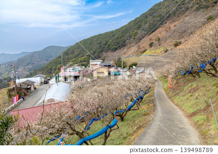Tanabe Plum Grove (February, Cloudy) Tanabe Plum Grove (February, Cloudy) 139498789