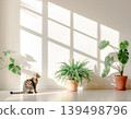 A minimalist interior space where soft light and houseplants shine. 139498796
