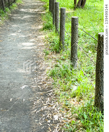 公園步道和人造木柵欄，陽光透過樹木灑下斑駁的光影。 139499144