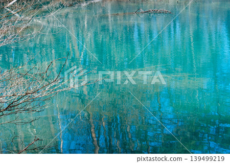 reflection of the swamp reflection of the swamp 139499219