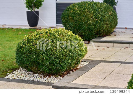 Green garden design 139499244