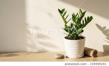 green plant in pot green plant in pot 139499291