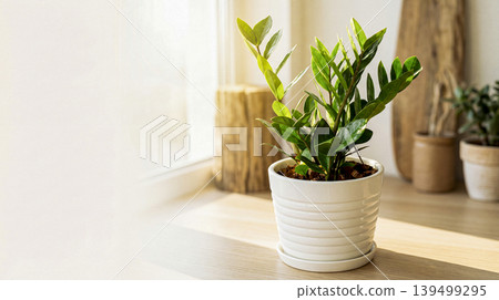 Green plant with sunlight and fresh tones Green plant with sunlight and fresh tones 139499295
