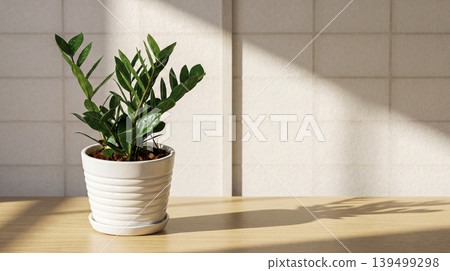 plant in pot on the window 139499298