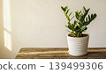 green plant in white pot plant on wood table 139499306
