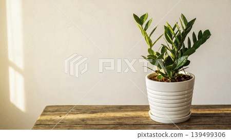 green plant in white pot plant on wood table green plant in white pot plant on wood table 139499306