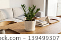 Modern home interior decor with plant 139499307