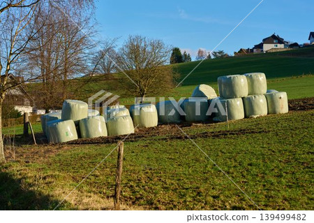 Bales in sunlight Bales in sunlight 139499482