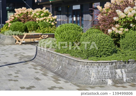 Beautiful garden landscape with vibrant flowers and neatly trimmed bushes in sunlight Beautiful garden landscape with vibrant flowers and neatly trimmed bushes in sunlight 139499806