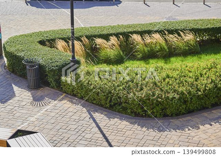 Green curves and gentle whispers of grass dance in the afternoon sun 139499808