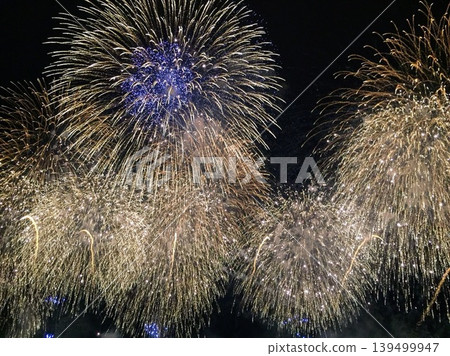 煙花在夜空中擊敗 139499947
