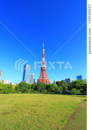 Tokyo Tower and fresh greenery in Minato-ku, Tokyo Tokyo Tower and fresh greenery in Minato-ku, Tokyo 139500037