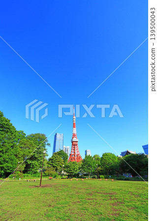 Tokyo Tower and fresh greenery in Minato-ku, Tokyo 139500043