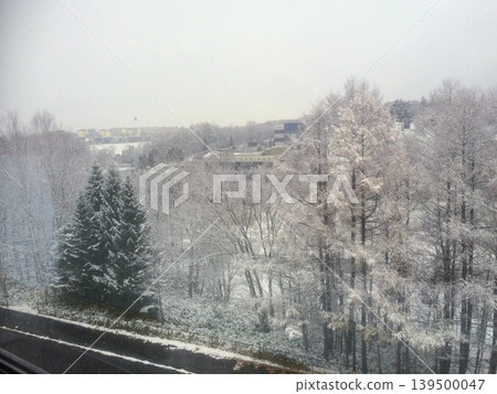 白雪覆蓋的森林 白雪覆蓋的森林 139500047