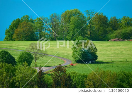 Lush, winding roads in the countryside 139500050