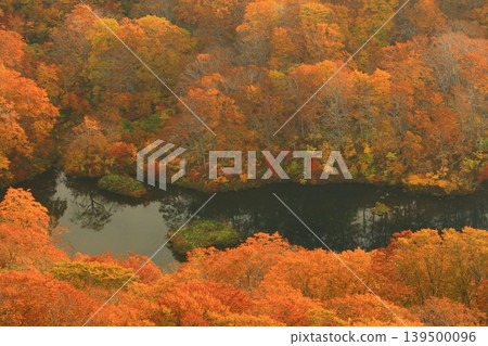 Burning autumn leaves 139500096