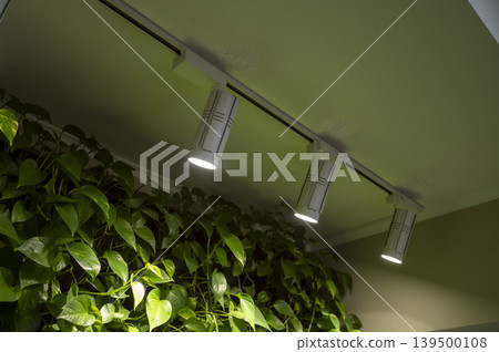 Bright lights shining down on lush greenery Bright lights shining down on lush greenery 139500108