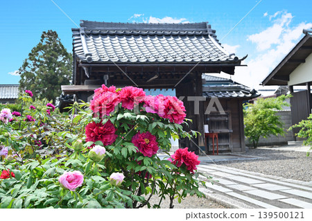 Sojiji Temple, Nagahama City Sojiji Temple, Nagahama City 139500121