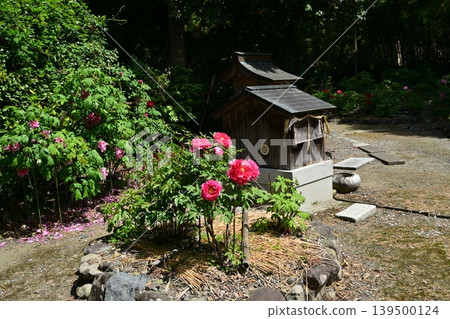 Sojiji Temple, Nagahama City Sojiji Temple, Nagahama City 139500124