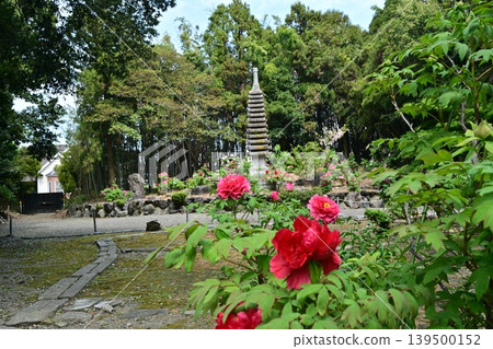 Sojiji Temple, Nagahama City Sojiji Temple, Nagahama City 139500152