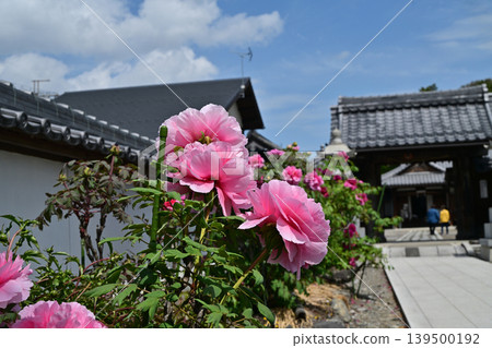 長濱市總寺 長濱市總寺 139500192