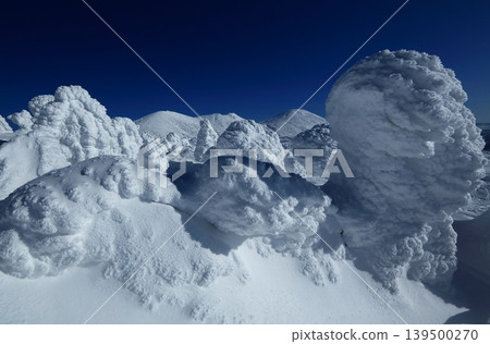 美麗的白雪皚皚的八甲田山脈，樹木上覆蓋著霜花。 139500270