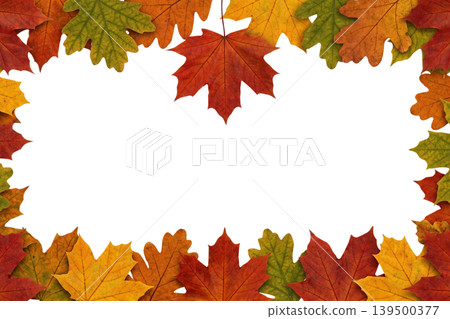 Autumn maple and oak leaf frame isolated for seasonal greeting 139500377