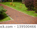 Pathway winding through a vibrant garden with lush greenery and colorful shrubs 139500466