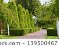 Stroll through a tranquil garden pathway lined with vibrant greenery and lush hedges 139500467