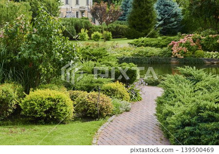 Delightful garden path through lush greenery and vibrant blooms on a sunny day Delightful garden path through lush greenery and vibrant blooms on a sunny day 139500469
