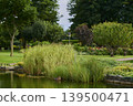 Serene moment by the tranquil pond in a vibrant garden filled with lush greenery 139500471