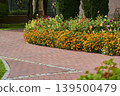 Colorful flowers lining a winding pathway in a serene garden during bright daylight 139500479
