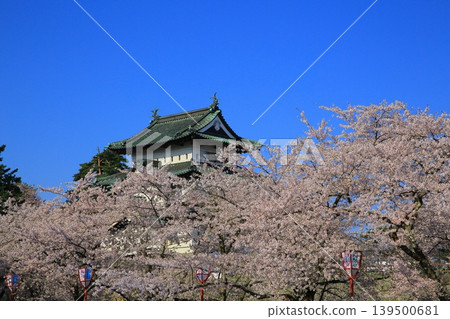 Scenery with cherry blossoms Scenery with cherry blossoms 139500681