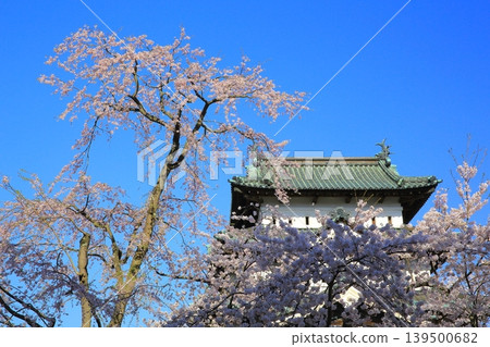 Scenery with cherry blossoms Scenery with cherry blossoms 139500682